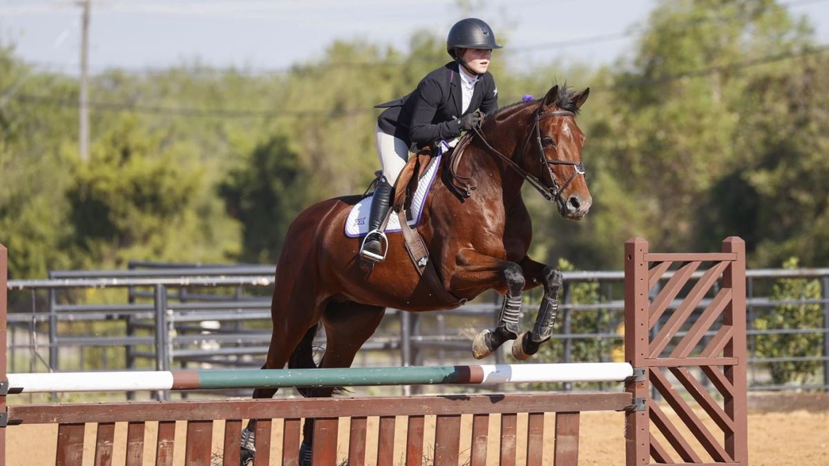 TCU Equestrian